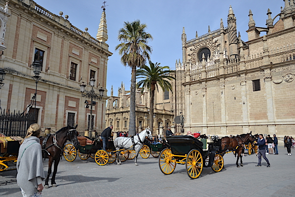 Plaza en Catedral de Sevilla